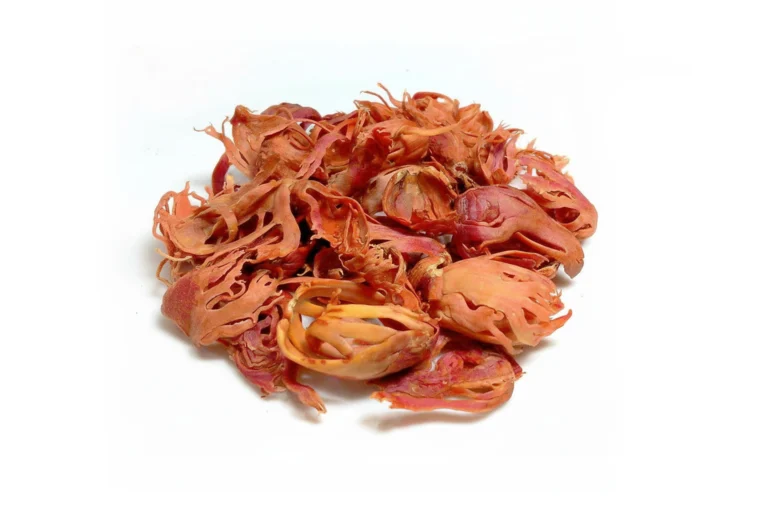 Premium Indonesian mace (nutmeg flower) for export