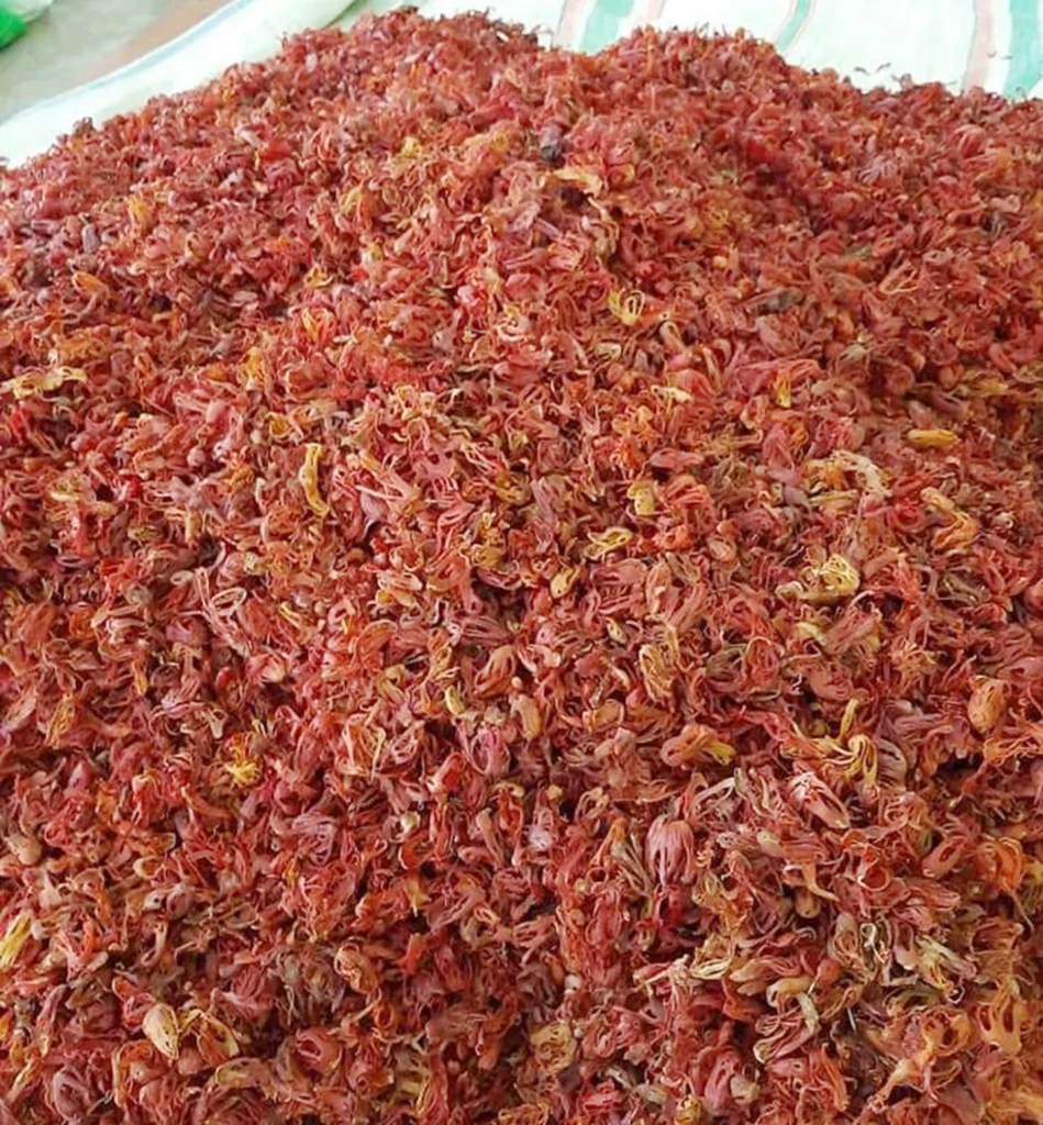 Premium Indonesian mace (nutmeg flower) for export