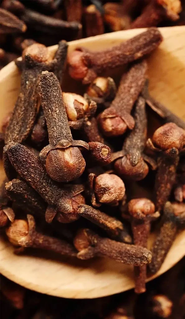 Premium Indonesian whole cloves for export